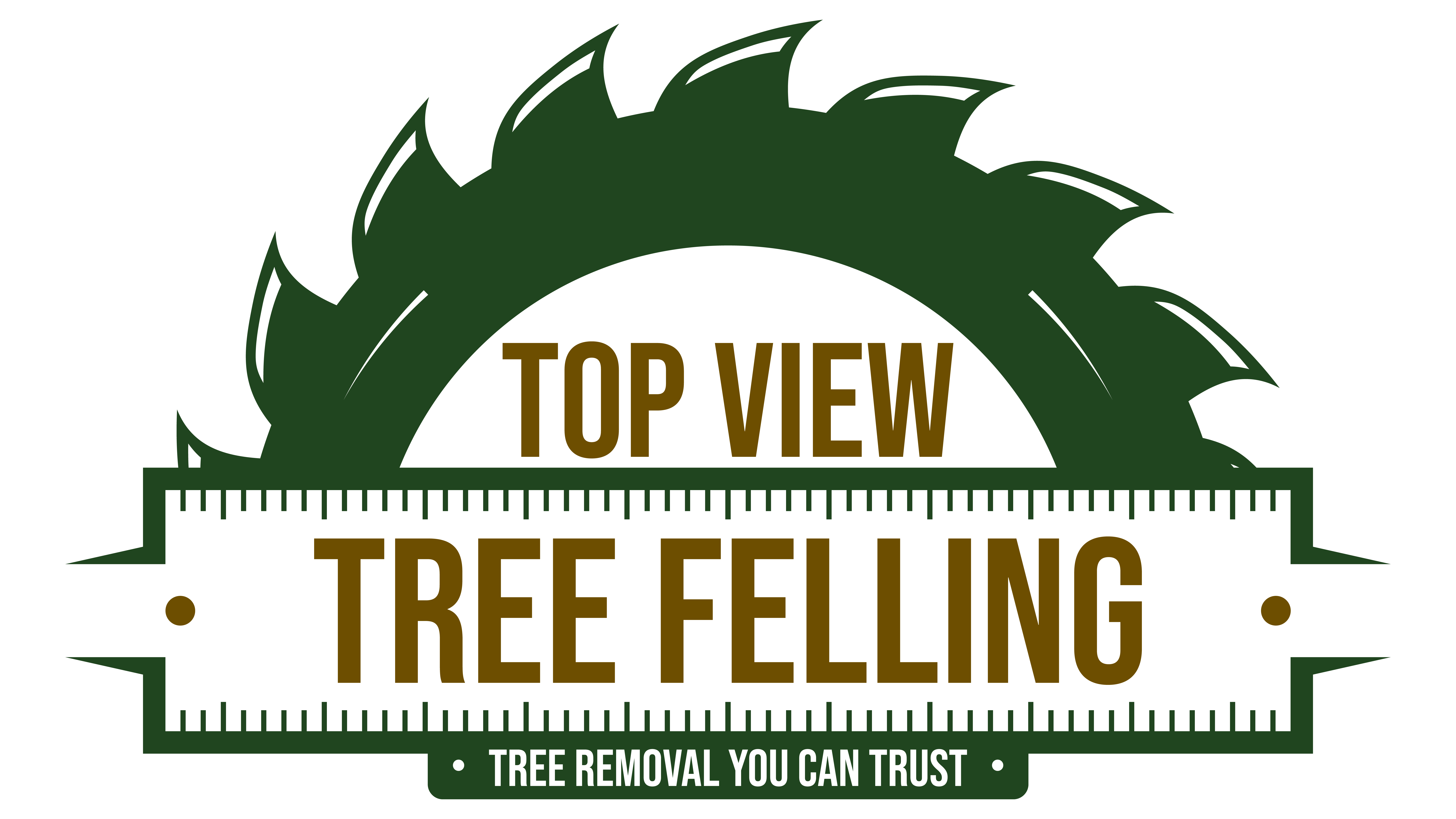 Top View Tree Felling